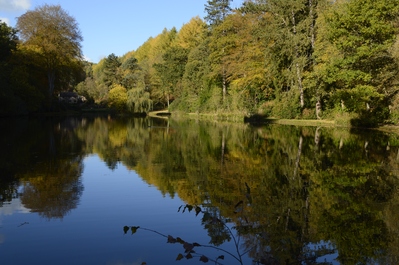 photography spots in United Kingdom - Dimmingsdale, Staffordshire