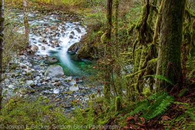 United States instagram spots - Wallace Falls State Park - Wallace River