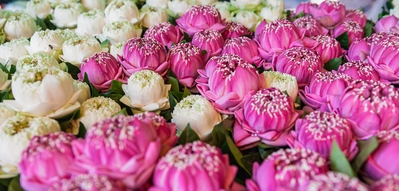 Krung Thep Maha Nakhon instagram locations - Bangkok Flower Market (Pak Khlong Talat)