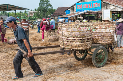 Vietnam photography locations - Ba Ren Pig Market
