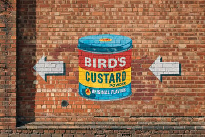 Birmingham photography spots - Birds Custard Street Art