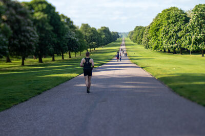 images of Windsor & Eton - Windsor Castle from The Long Walk