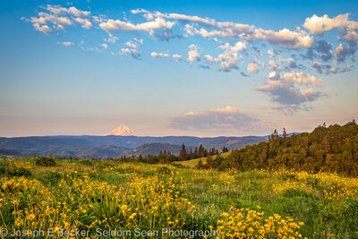 Oregon photo spots - Memaloose Hills