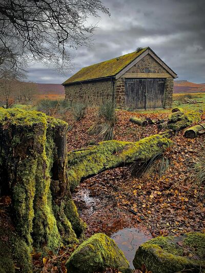 photography locations in England - Longshaw Estate