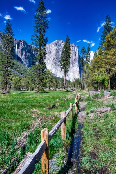 photos of Yosemite National Park - Southside Drive, Yosemite NP  