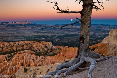Utah instagram locations - Bryce Point - Bryce Canyon NP