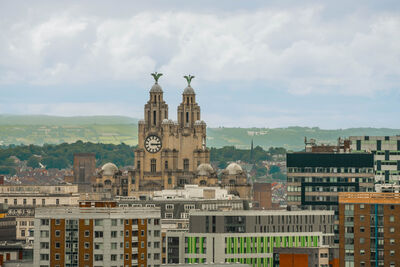 United Kingdom photography spots - View of Royal Liver Building from Rupert Lane Rec