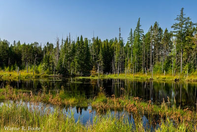 photography spots in United States - Aroostook National Wildife Refuge