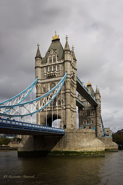 images of London - Tower Bridge from Horselydown Old Stairs