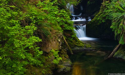 Washington photo locations - Willaby Creek Falls