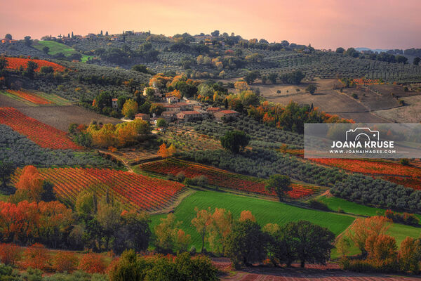 The landscape seen from Montepennino in autumn, when the vinyards are coloured in red and orange.