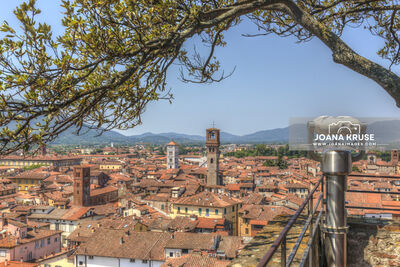 photography spots in Italy - View from Guinigi Tower