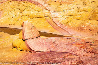 photography spots in United States - South Coyote Buttes - Half and Half Rock