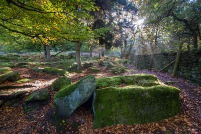 photo locations in England - Padley Gorge