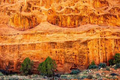 Utah instagram spots - Long Canyon - Swiss Cheese Walls