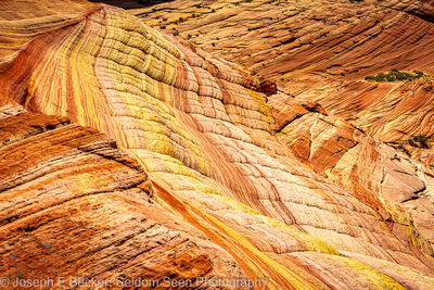 United States photography spots - Coyote Buttes North - Psychedelic Wall