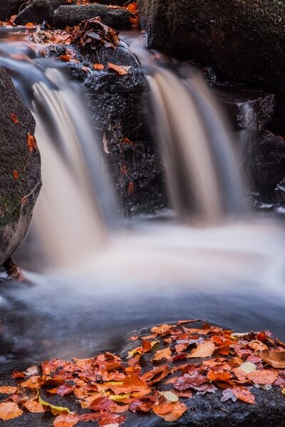 Padley Gorge Autumn Abstract