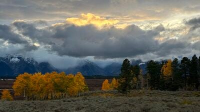images of Grand Teton National Park - View from Jackson Lake Lodge