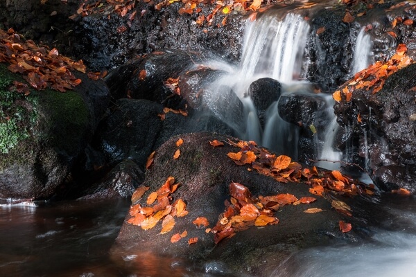 Padley Gorge Autumn Colours