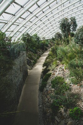 pictures of South Wales - National Botanic Garden of Wales