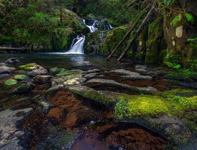 images of the United States - Sweet Creek Falls