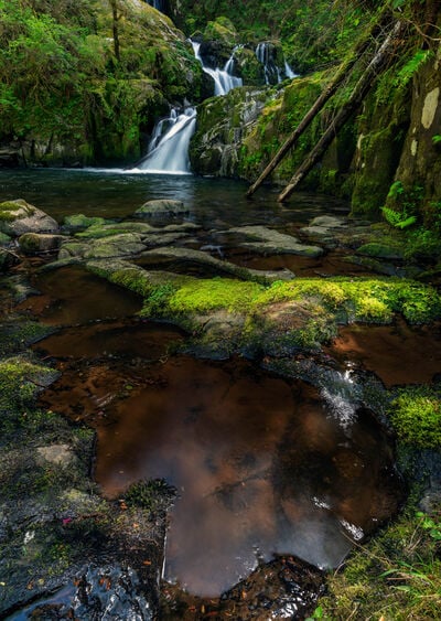 pictures of the United States - Sweet Creek Falls