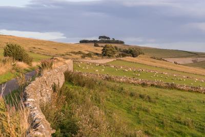 The Peak District photography spots - Minninglow