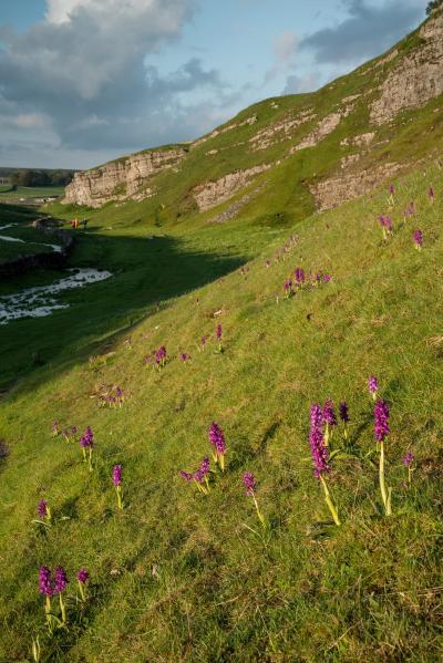 The Peak District photography spots - Peter's Stone