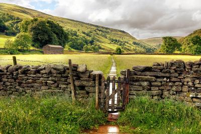 photo locations in England - Muker Meadows, Swaledale
