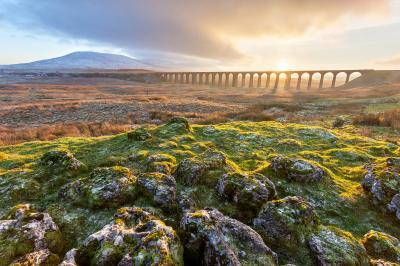 pictures of The Yorkshire Dales - Ribblehead Viaduct, Ribblesdale