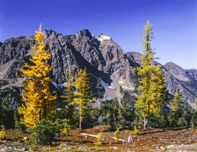 images of North Cascades - Harts Pass