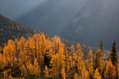 images of North Cascades - Cutthroat Pass