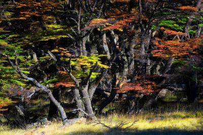 pictures of Patagonia - EC - Autumn Scenery