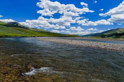 pictures of Yellowstone National Park - Lamar River/Valley