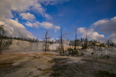 images of Yellowstone National Park - MHS - Angel Terrace