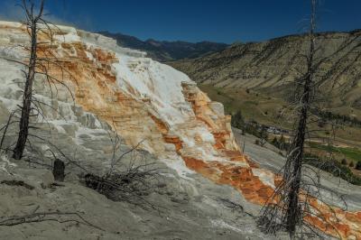 photos of Yellowstone National Park - MHS - Canary Spring