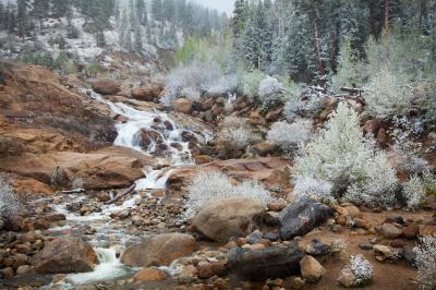 pictures of Rocky Mountain National Park - FL - Alluvial Fan
