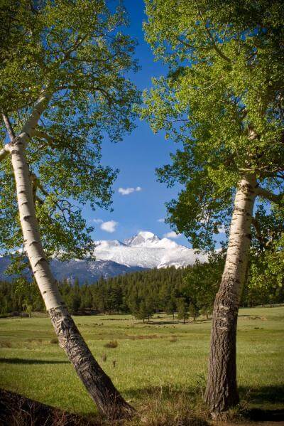 images of Rocky Mountain National Park - TR - Upper Beaver Meadows