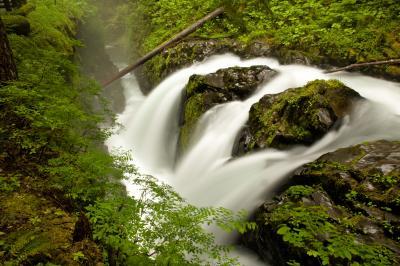 photo spots in Olympic National Park - Sol Duc Falls