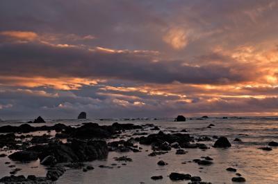 photography locations in Olympic National Park - Cape Alava – Sand Point Loop