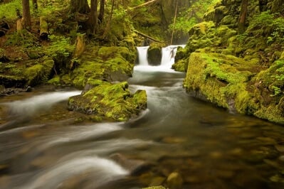 photography locations in Washington - Boulder River Trail