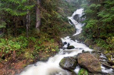 images of Olympic National Park - Bunch Creek