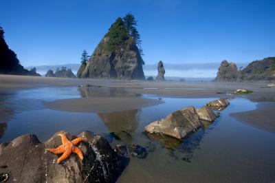 Olympic National Park photo spots - Point of the Arches 