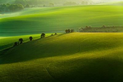 photography spots in United Kingdom - Cold Combes (South Downs NP)