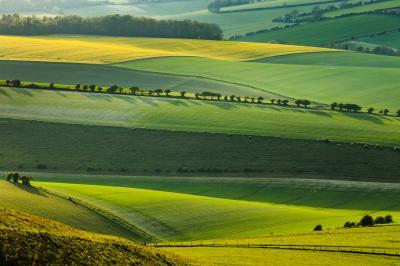 photos of Brighton & South Downs - Cold Combes (South Downs NP)