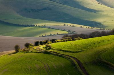 images of Brighton & South Downs - Cuckoo Bottom (South Downs NP)