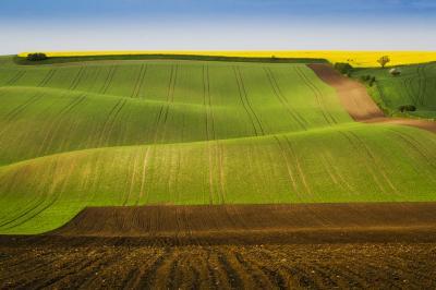 images of Southern Moravia - Šardice Valley