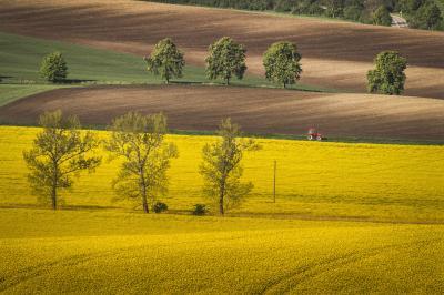 Southern Moravia photography guide