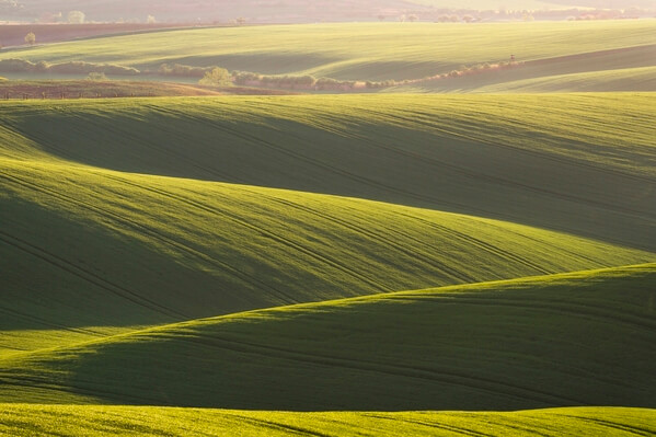 Rolling fields in the sunset - spring