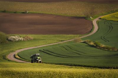 pictures of Southern Moravia - Sigma-Shaped Road